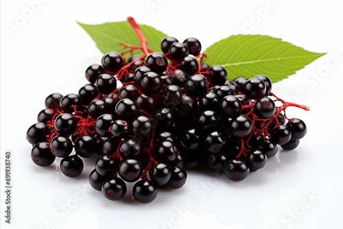 High quality image of ripe elderberry isolated on a white background for commercial use