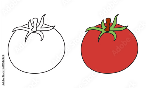 Tomato isolate. Tomato on white background. Tomatoes top view, side view.