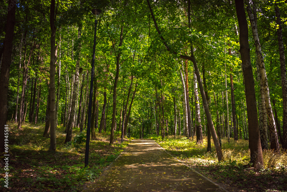 Obraz premium Droga przez park