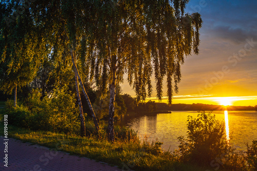 Brzozy nad jeziorem o zachodzie słońca © Krzysztof Rostkowski