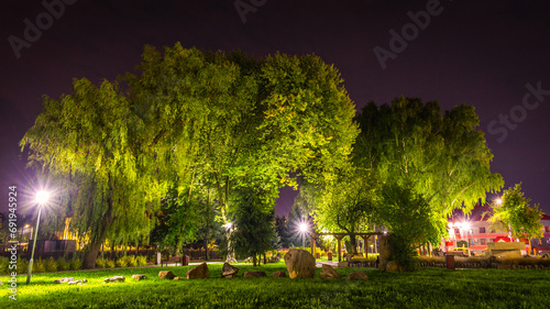 Podświetlone korony drzew nocą © Krzysztof Rostkowski