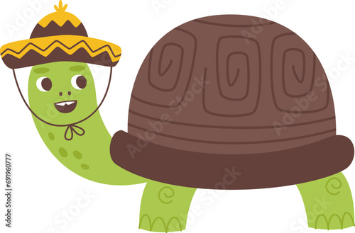 Turtle With Mexican Hat
