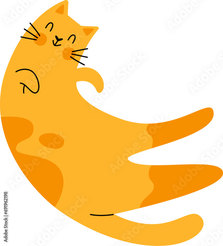 Cat Lying Pet