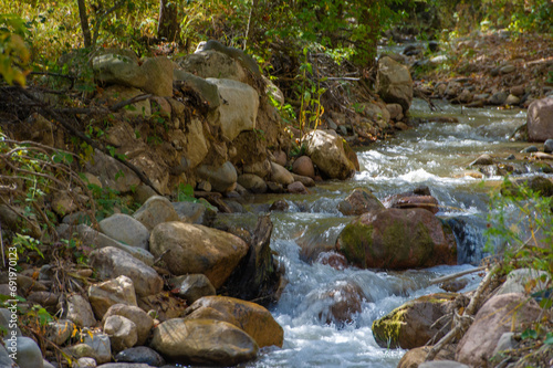 Twigs of an autumn tree over a mountain stream. Immerse yourself in a magical autumn wonderland as golden leaves cascade into the tranquil embrace of a babbling mountain stream. Harmony of Nature