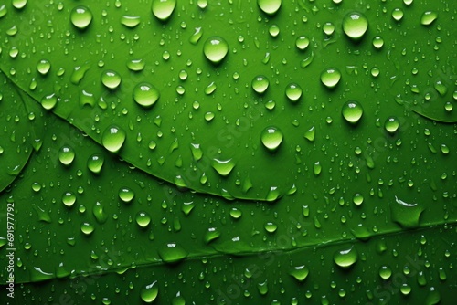  a close up of a green leaf with drops of water on the leaves of the plant in the foreground.