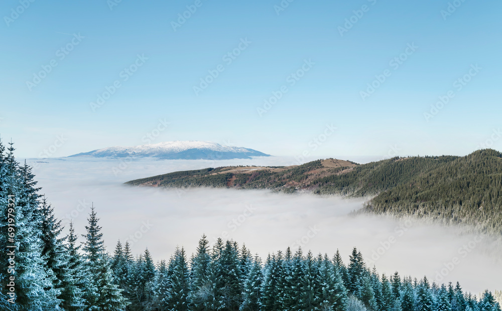 Beautiful Winter Landscape with Pine Trees Covered with Snow and Fog . Rila Mountain ,Bulgaria 