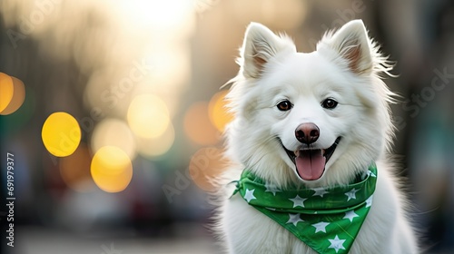 Image of a festive dog in a Saint Patrick's Day bandana, with a defocused background of a bustling outdoor celebration  photo