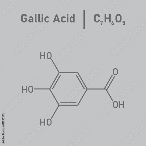 Chemical structure of Gallic acid (C7H6O5). Chemical resources for teachers and students. Vector illustration.