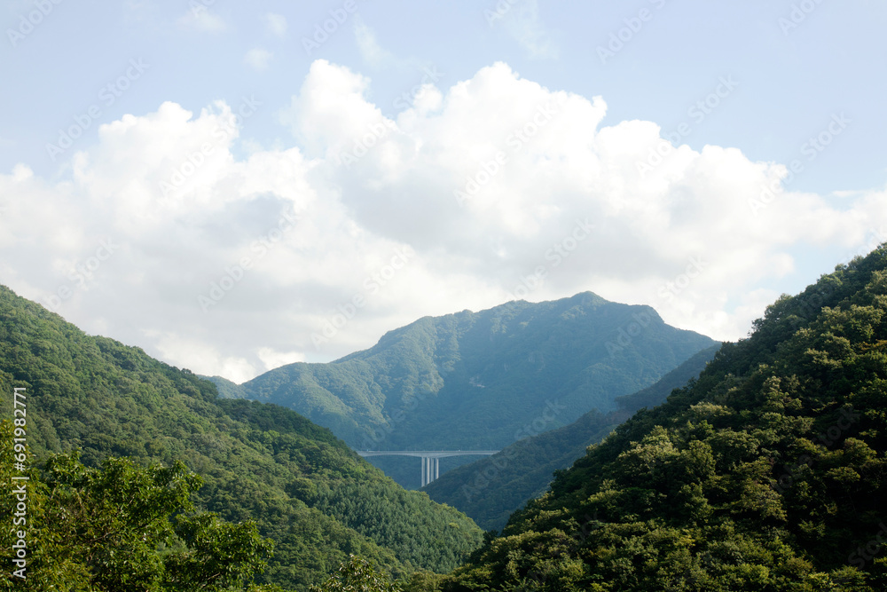 bridge in the mountains