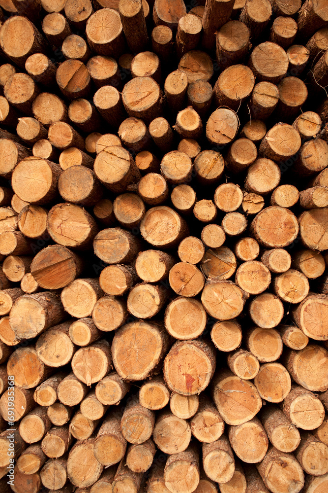 stack of wood stack of wood