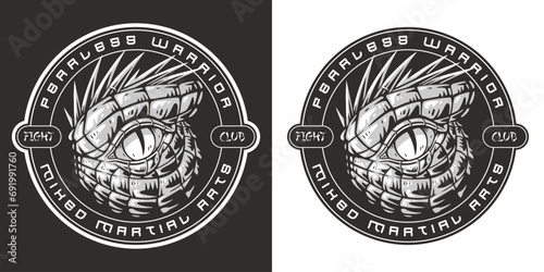 Martial arts dragon flyer monochrome
