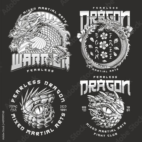 Asian martial arts set flyer