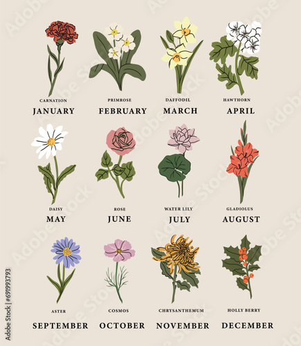 Flat vector birth flowers collection