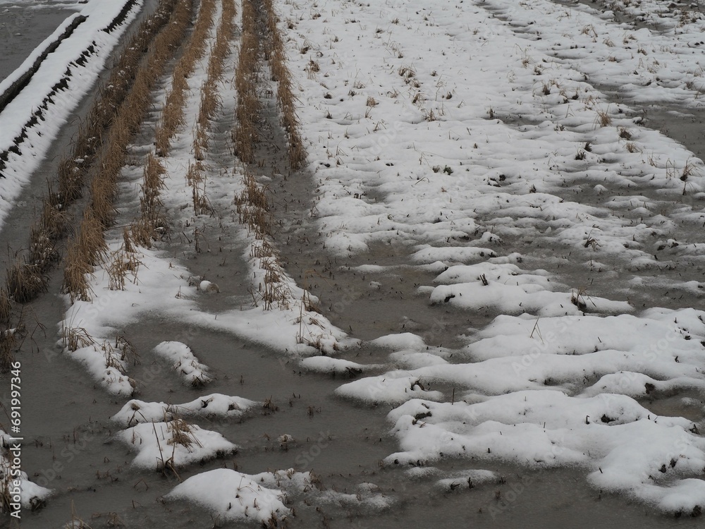 Obraz premium 雪景色 冬の田んぼ