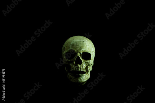 Frontal View of Skull Decoration with Copy Space on Black Background
