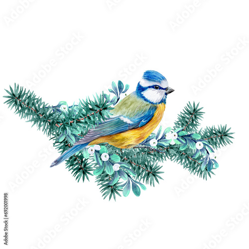 Watercolor Christmas decoration with the image of a titmouse on it. The fir paw with bird for holiday cards and seasonal cards, invitations, various decorations