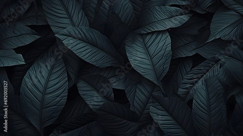 Textures of abstract black leaves for tropical leaf © Ziyan