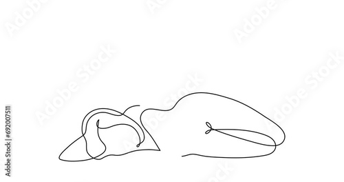 Naked woman and musical treble clef and note one line art animation, hand drawn lady figure continuous contour drawing motion.Love music concept,minimalist outline video.4k self-drawing movie
