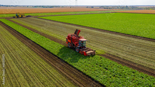 Aerial view of combine, harvester machine harvest ripe sugar beet