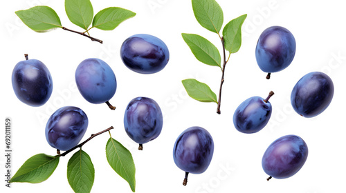 Collection of whole and cut blue plum fruits and leaves cutout