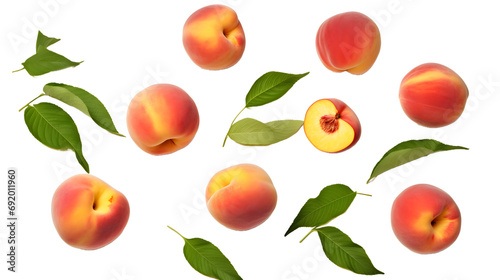 Collection of whole and cut peach fruits and leaves, cut out