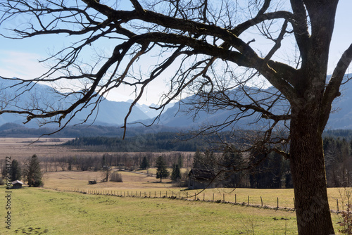 das Murnauer Moor liegt vor den bayerischen Bergen und- zählt zu den größten Moorgebieten Mitteleuropas  photo
