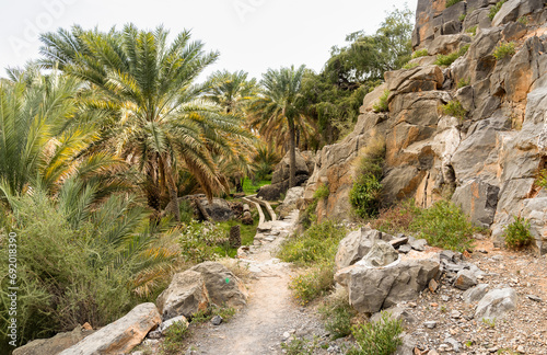 Mountain path with date palm trees oasis at Misfah al Abriyyin or Misfat Al Abriyeen village located in the north of the Sultanate of Oman.