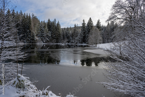 Winterlandschaft im Vogtland - der hintere Floßteich bei Erlbach photo