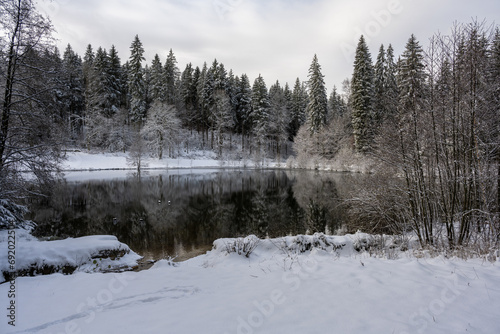 Winterlandschaft im Vogtland - der hintere Floßteich bei Erlbach © StG Stockfoto