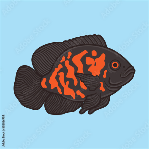  Oscar fish cartoon icon vector illustration
