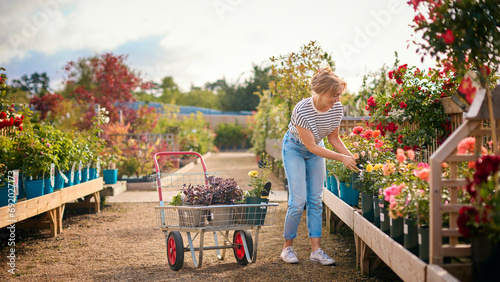 Quadro su tela Woman With Trolley Outdoors In Garden Centre Choosing Plants And Buying Rose