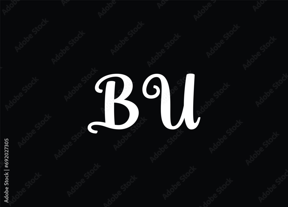 BU Initial Letter Icon Logo Design Vector Illustration BU Initial Letter Icon Logo Design Vector Illustration
