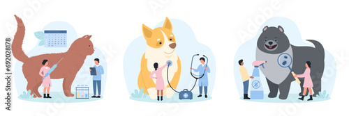 Veterinarian appointment at vet clinic set vector illustration. Cartoon tiny doctors with stethoscope and magnifying glass check heart and skin health of dog or cat, vaccine pet in veterinary hospital photo