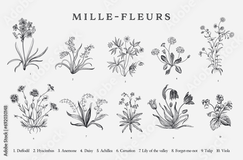 Millefleurs. Set. Vintage vector botanical illustration. Black and white photo