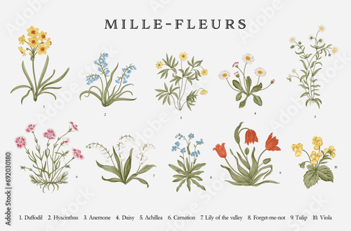 Millefleurs. Set. Vintage vector botanical illustration. photo