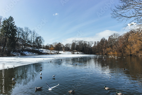 landscape with lake in frozen spring in oslo norway with many seagulls and water birds