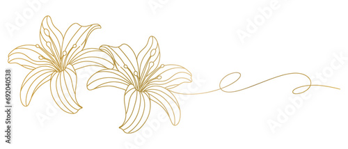 Spring flower line art style vector with transparent background 