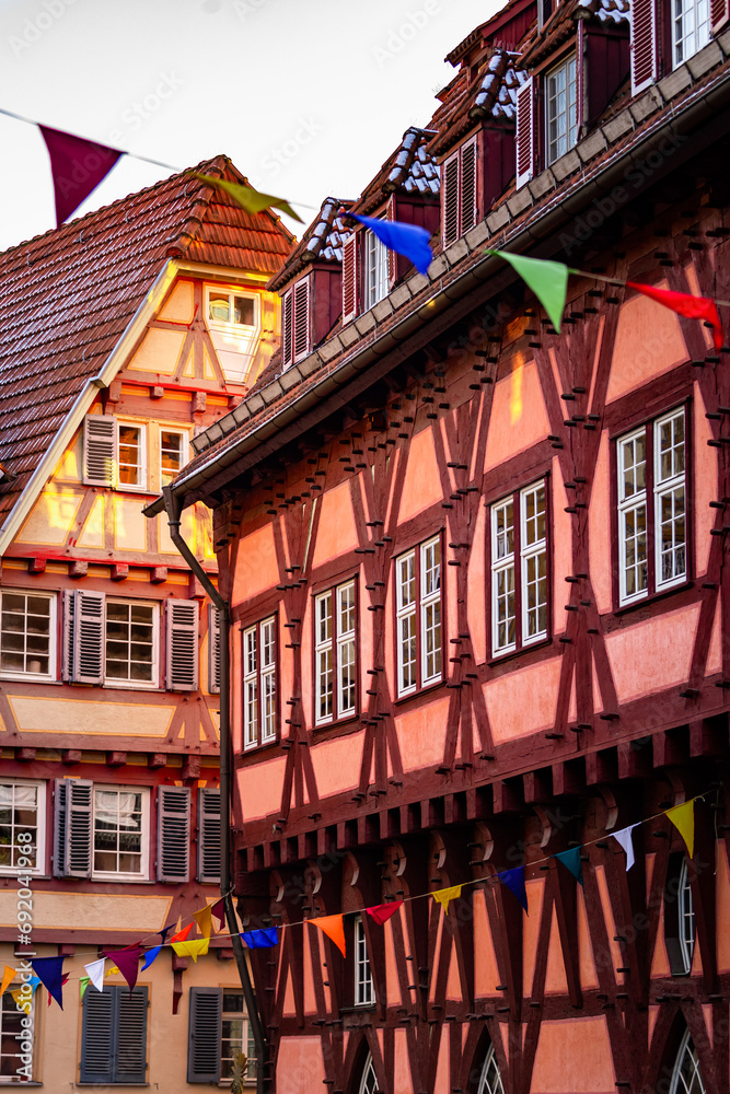 Part of medieval construction with rose building on Christmas market in Germany