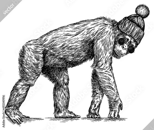 Vintage engraving isolated chimpanzee glasses dressed fashion set illustration chimp ink sketch. Monkey background primate silhouette sunglasses hipster hat art. Black and white drawn vector image