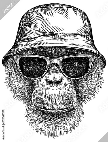 Vintage engraving isolated chimpanzee glasses dressed fashion set illustration chimp ink sketch. Monkey background primate silhouette sunglasses hipster hat art. Black and white drawn vector image