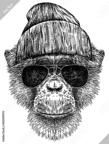 Vintage engraving isolated chimpanzee glasses dressed fashion set illustration chimp ink sketch. Monkey background primate silhouette sunglasses hipster hat art. Black and white drawn vector image