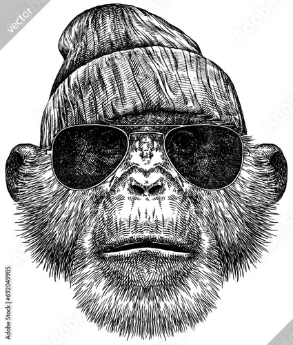 Vintage engraving isolated chimpanzee glasses dressed fashion set illustration chimp ink sketch. Monkey background primate silhouette sunglasses hipster hat art. Black and white drawn vector image