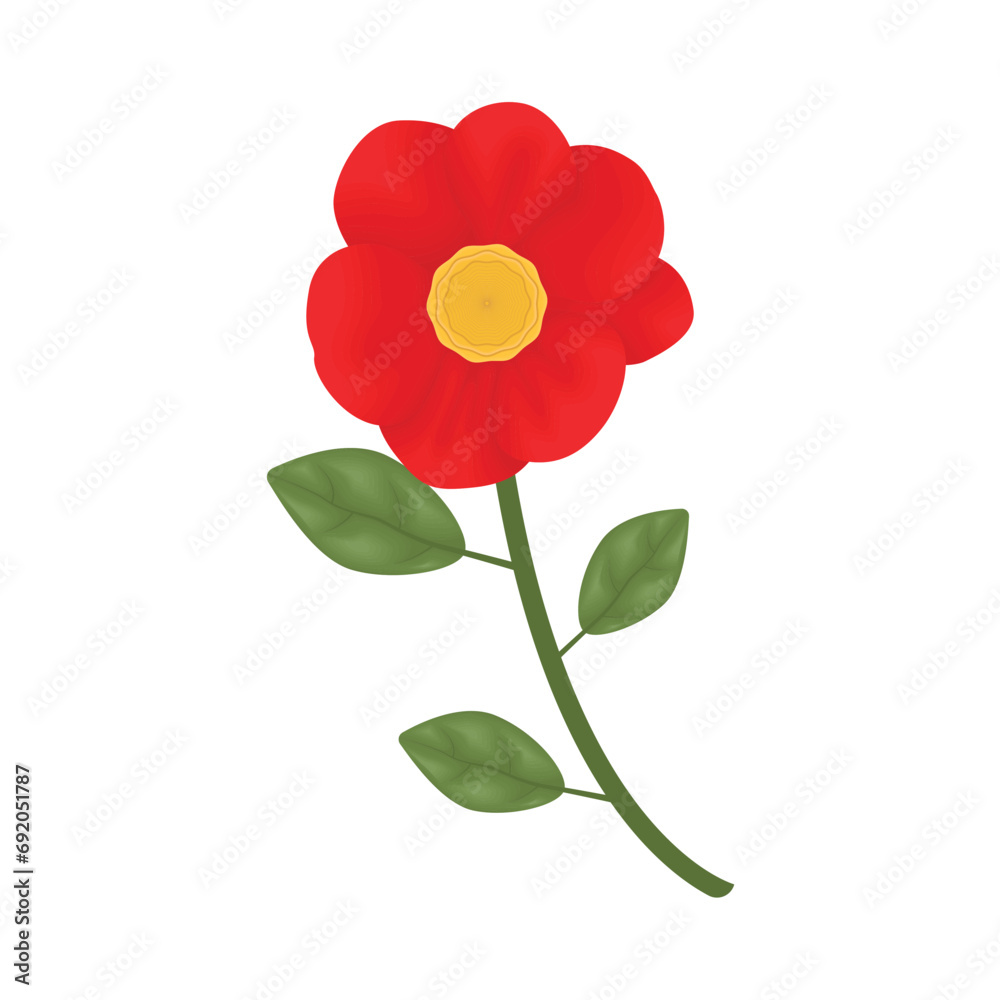 flower illustration flower illustration