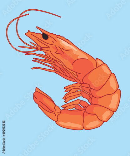Shrimp Seafood Shrimps Shrimping