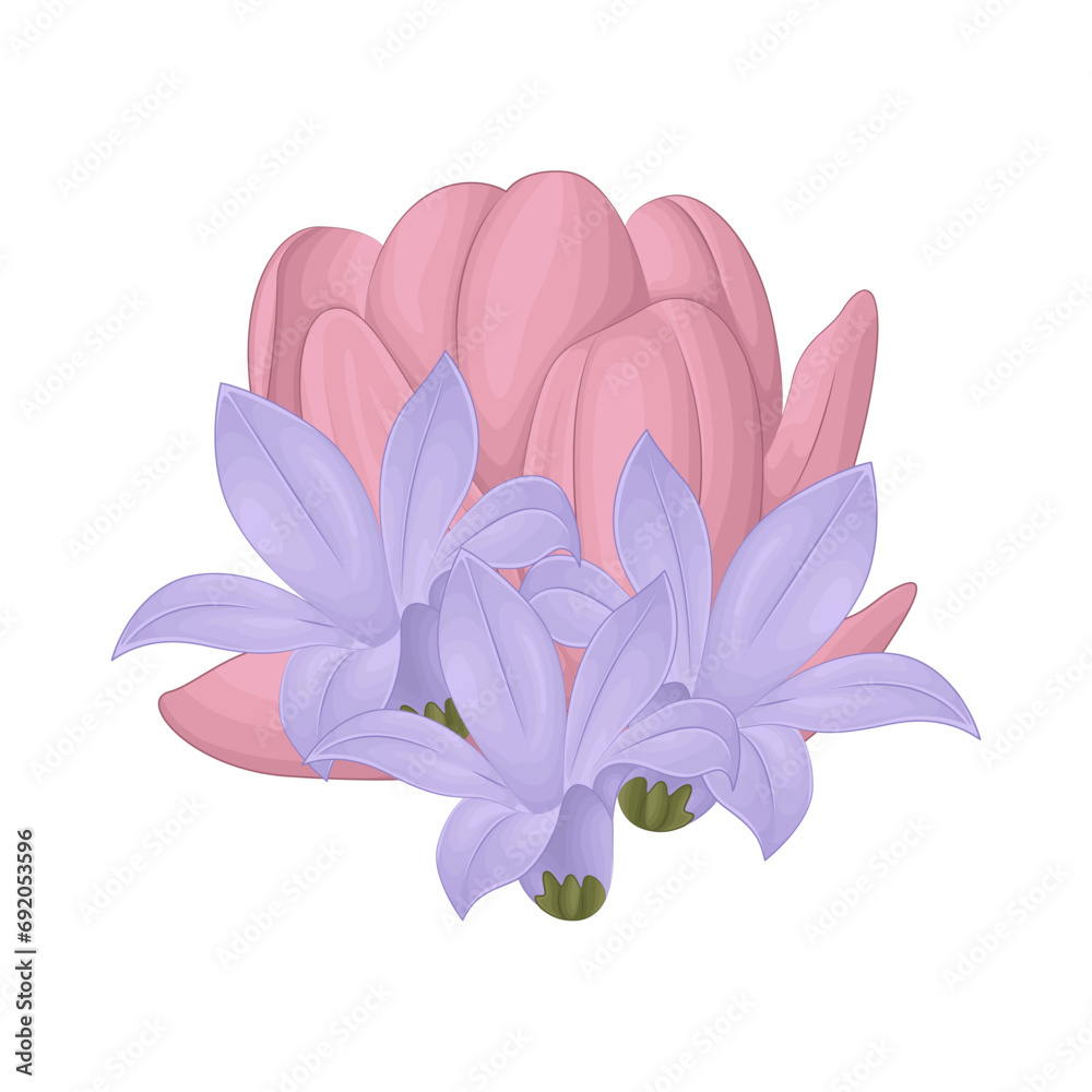 illustration of flower 