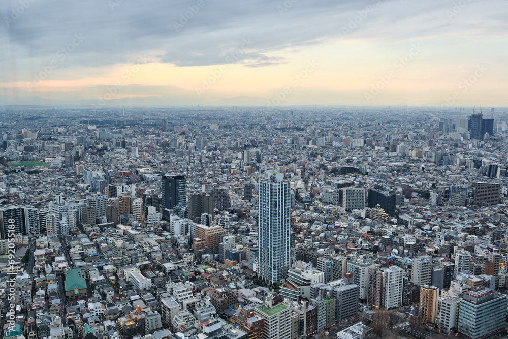 Top view of the city of Tokyo
