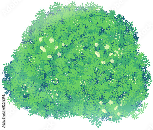 illustration of anime bush