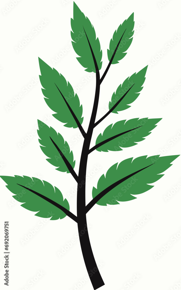 Leaves branch vector clipart
