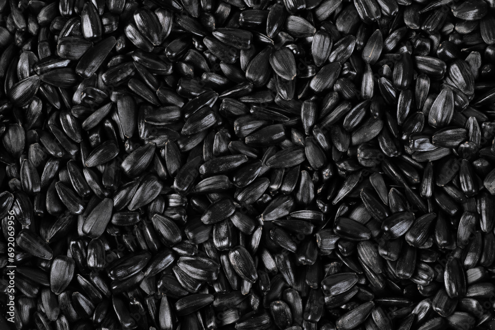 Top view of a lot of black roasted sunflower seeds.