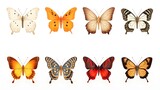 Set of butterflies on pure white background